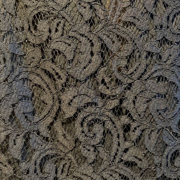 Banana Republic Elegant Black Lace Mini Dress - Picture 3 of 6